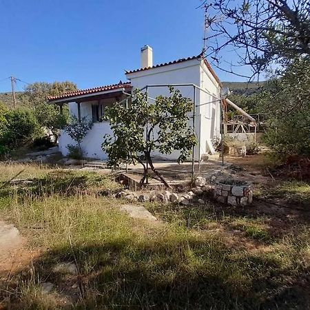 Vila Elafonisos Detached House In Quiet Olive Grove, Starlink Internet & Smart Projector! Exteriér fotografie