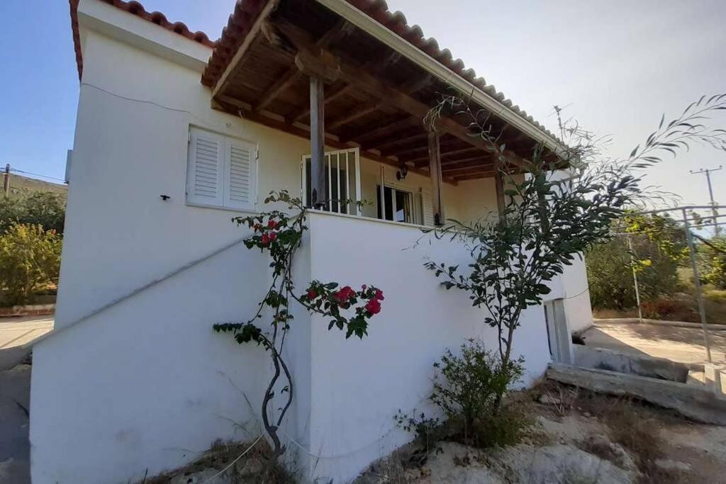 Vila Elafonisos Detached House In Quiet Olive Grove, Starlink Internet & Smart Projector! Exteriér fotografie